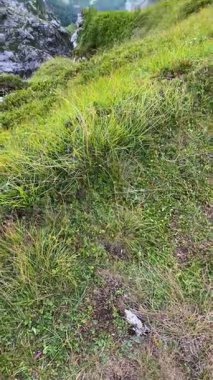 Dağ geçidi Mangart eyeri Julian Alplerinde, Strmec na Predelu (Triglav Ulusal Parkı, Slovenya)