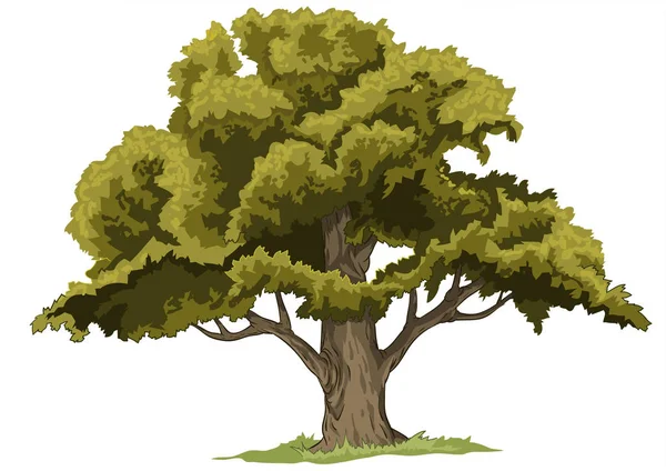 Vector File Big Oak Tree — Stock Vector