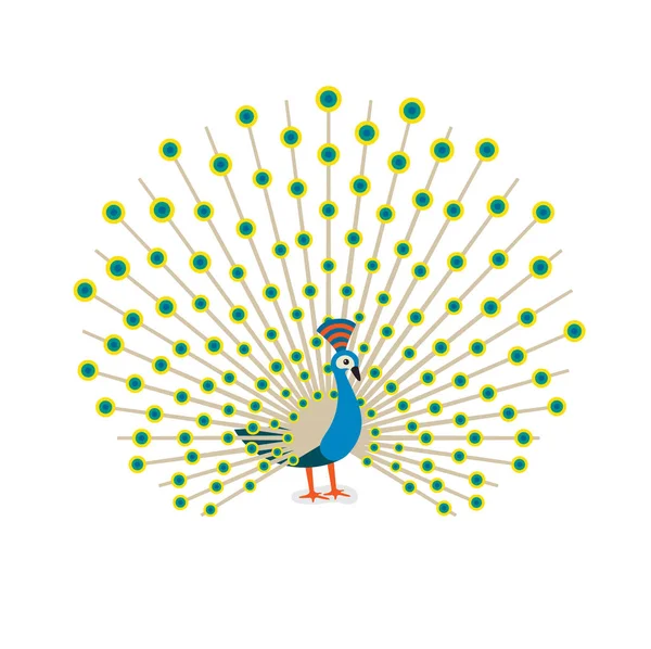 Mooie Peacock Cartoon Platte Tekening Kleur Vectorillustratie Witte Achtergrond — Stockvector