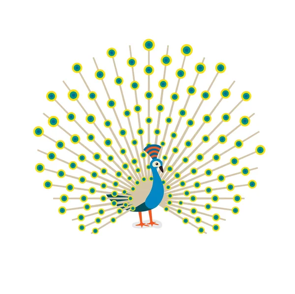 Beautiful Peacock Cartoon Flat Drawing Color Vector Illustration White Background — Stock Vector