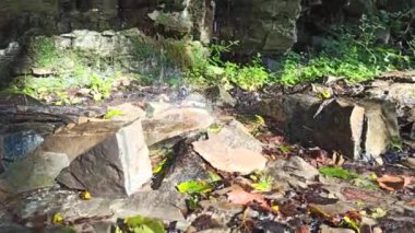 Bir şelaleden kayaya su damlaları düşer. Dağ şelalesi. Orman doğası