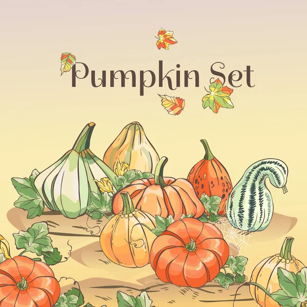 Set of hand drawn pumpkins. Beautiful autumn background — Stock Vector