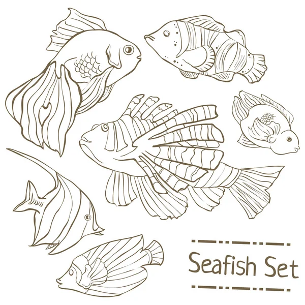 Zestaw ręcznie rysowanych ryb morskich na białym tle. Kolekcja ryb linii wektorowych. — Wektor stockowy