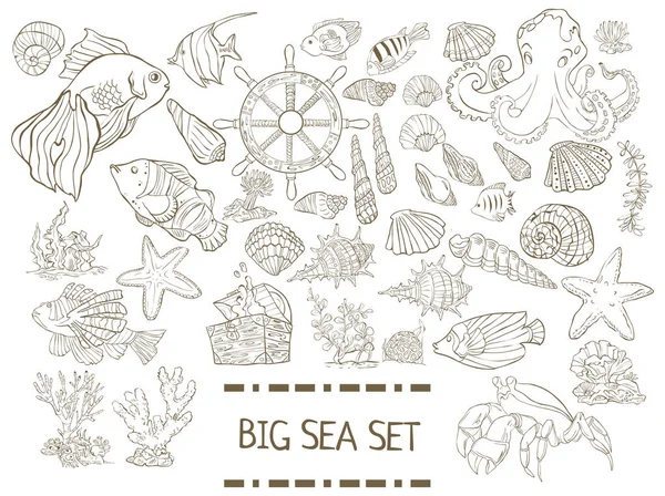 Grand ensemble de mer. Collection de poissons dessinés à la main, algues, poulpes, méduses, coquilles isolées sur fond blanc — Image vectorielle