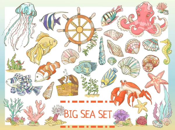 Grand ensemble de mer coloré. Collection de poissons dessinés à la main, algues, poulpes, méduses, hippocampes, coquillages de crabe — Image vectorielle