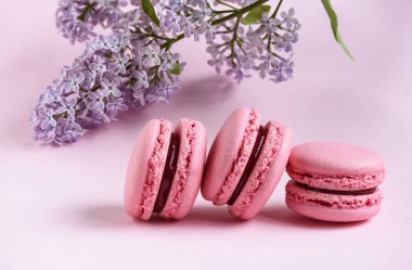 Üç pembe macaroons ve pembe bir arka plan üzerinde bir leylak dalı