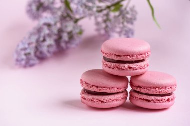 Seçici odak, piramit üç macaroons ve pembe bir arka plan üzerinde leylak dalı