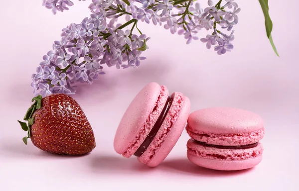 Twee Roze Bitterkoekjes Een Tak Van Lila Aardbei Roze Achtergrond — Stockfoto