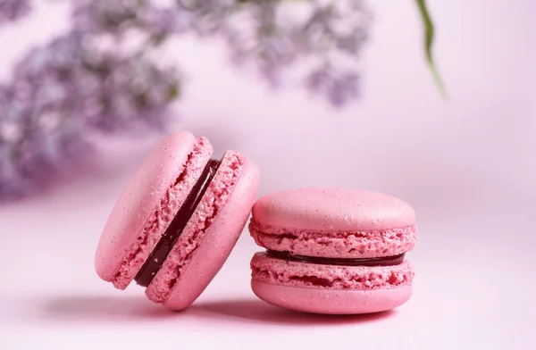 Selective Focus Two Pink Macaroons Pink Background Close — Stock Photo, Image