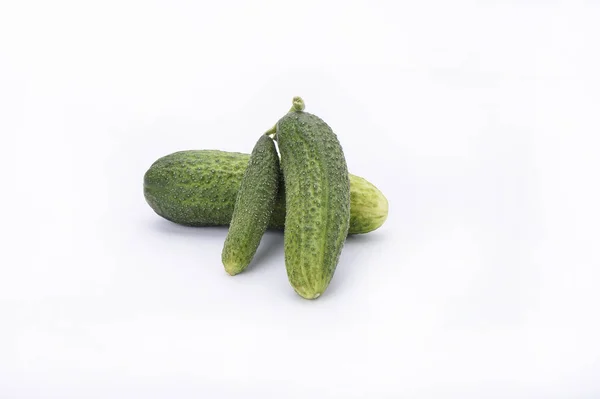 Several Fresh Cucumbers Isolated White Background Close — Stock Photo, Image