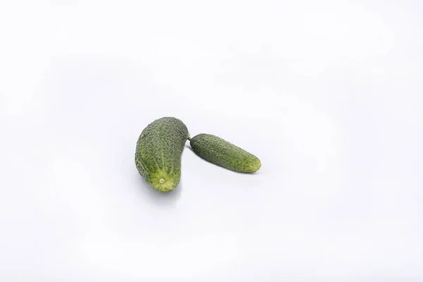 Two Fresh Cucumbers One Branch Isolated White — Stock Photo, Image