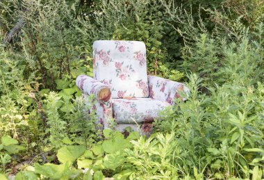 Eski koltukta uzun otların ortasında terk edilmiş bir bahçe