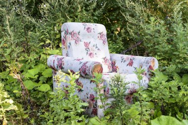 Eski koltukta uzun otların ortasında terk edilmiş bir bahçe, yakın çekim