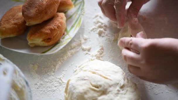 Rustik Tarzı Rus Kekler Için Sınama Formu Doldurma Patates Cook — Stok video