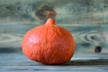 Sonbahar ahşap arka plan üzerinde kabak. Kopya alanı