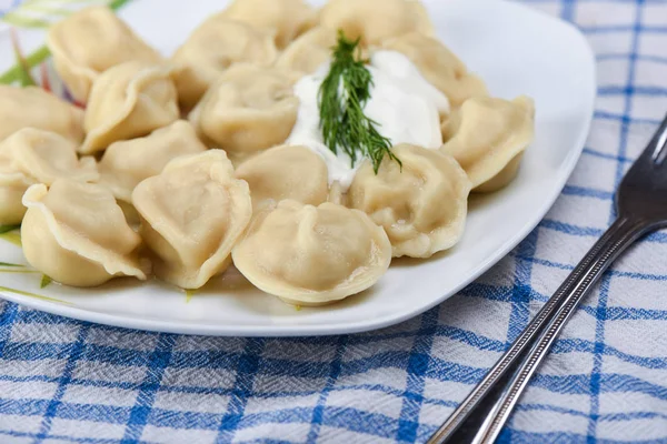 Selektivt fokus. Dumplings med gräddfil på en tallrik — Stockfoto