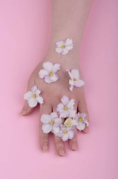 Main d'une jeune fille aux fleurs violettes sur fond rose. S — Photo