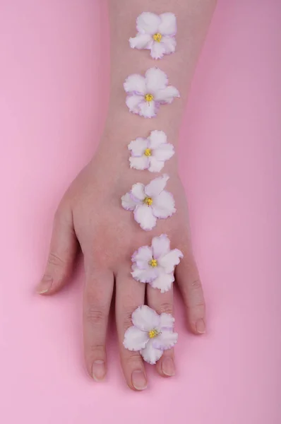 Line of violet flowers on the hand of a young girl. Skin care co