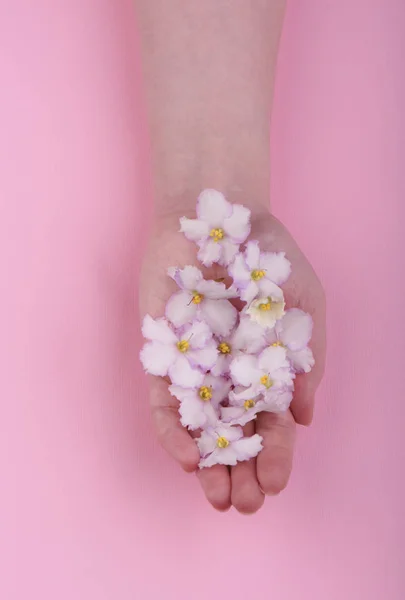Virág Ibolya virágok a lila a tenyerével, egy fiatal lány. Bőr — Stock Fotó