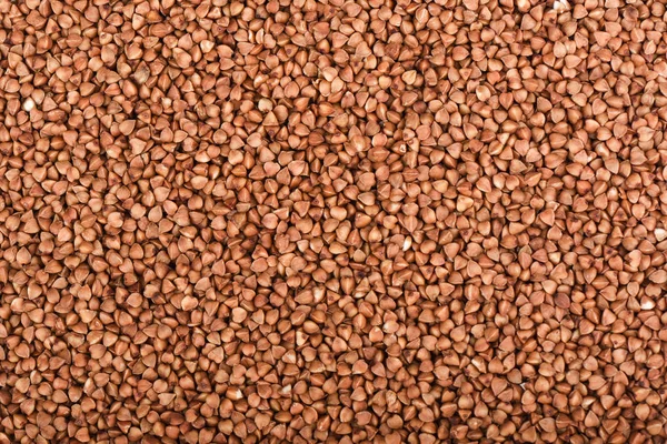 Grano Saraceno Come Sfondo Cereali Tradizionali Porridge Vicino — Foto Stock