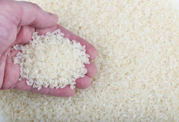 Hrst Rýže Pilaf Střední Asie Rýže Jako Pozadí — Stock fotografie