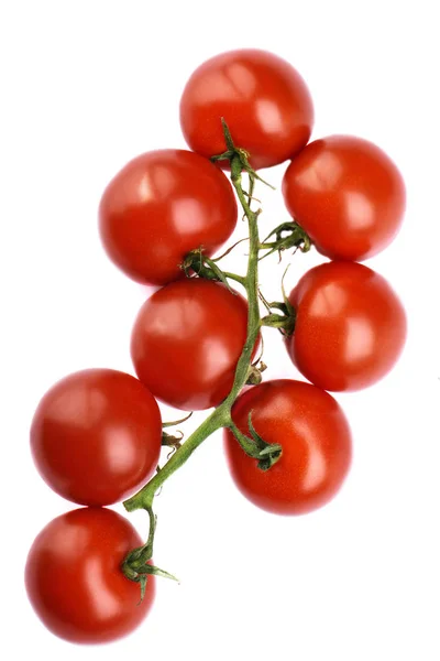 Widok Góry Dojrzałe Pomidory Oddział Białym Tle Kopiować Miejsca Granica — Zdjęcie stockowe
