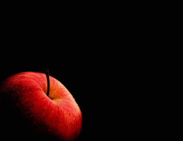 Copiar espacio. Manzana roja madura con gotas de agua . — Foto de Stock