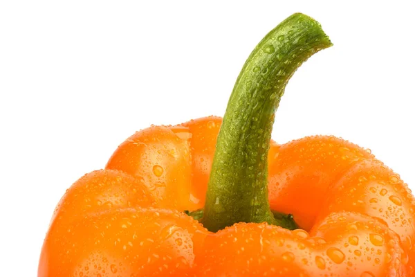 Pimiento naranja con gotas de agua aisladas sobre fondo blanco — Foto de Stock