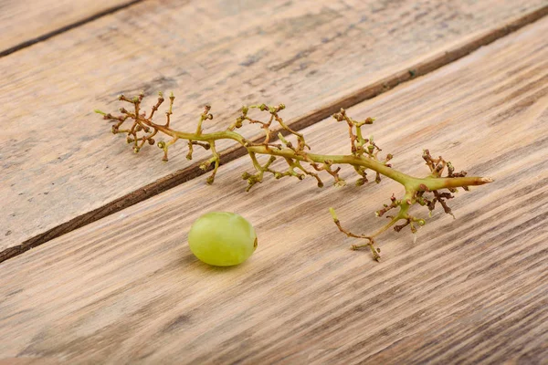 Grape bunch without berries on the table. One grape berry lies on the table. — Stock Photo, Image