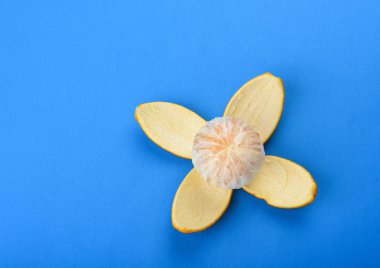 Mavi arka planda izole turuncu soyulmuş. Yaprakları olarak turuncu kabuğu