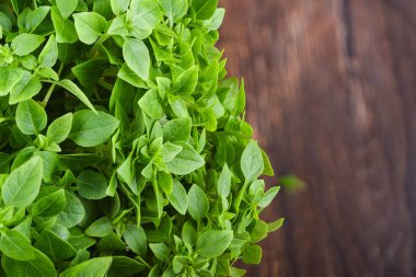 Ahşap arka plan üzerinde taze yeşil fesleğen yaprakları.