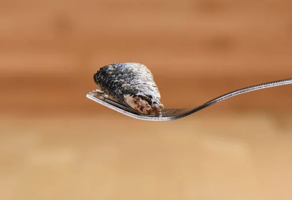 Un pezzo di sardina in scatola ivasi su una forchetta su uno sfondo di legno — Foto Stock