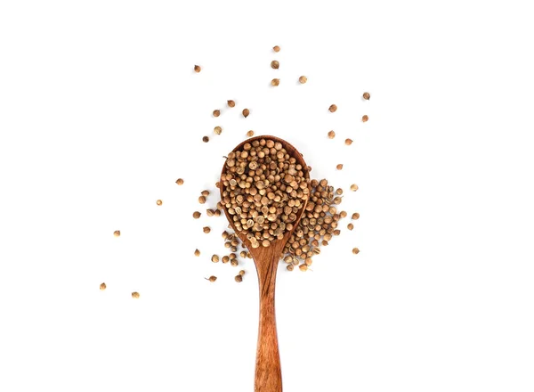 Semillas de cilantro sobre cuchara de madera aisladas sobre fondo blanco . —  Fotos de Stock