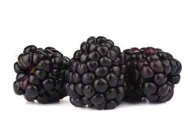 Beyaz arka plan üzerinde üç olgun böğürtlen. Makro çekimi.