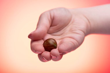 Bir kızın avucunda olgun bektaşi üzümü. Kopyalama alanı.