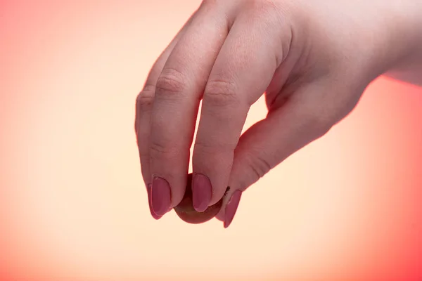 Mão feminina com groselha vermelha madura . — Fotografia de Stock