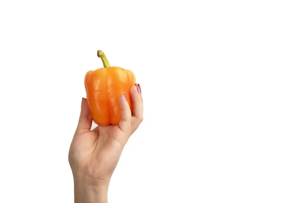 Orange Paprika in der Hand auf weißem Hintergrund. — Stockfoto