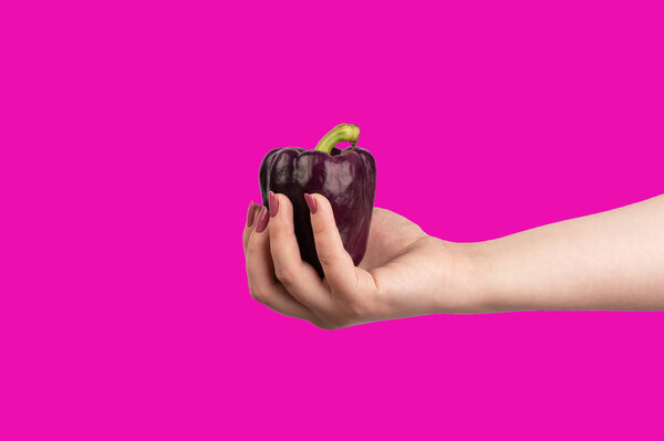 Purple bell peppers in hand on a violet background.