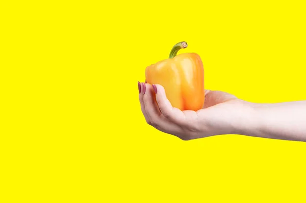 Orange süße Paprika in der Hand auf gelbem Hintergrund. — Stockfoto