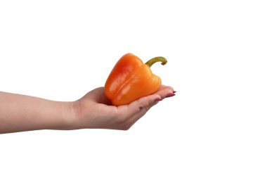 Beyaz bir arka plan üzerinde elinde Turuncu biber.
