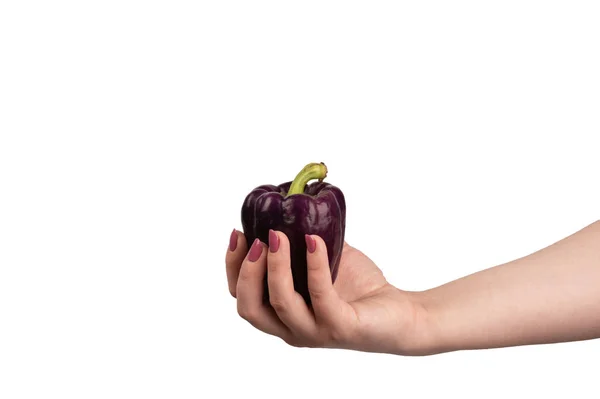 白い背景に手に紫のピーマン. — ストック写真