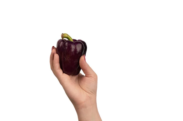 Lila Paprika in der Hand auf weißem Hintergrund. — Stockfoto