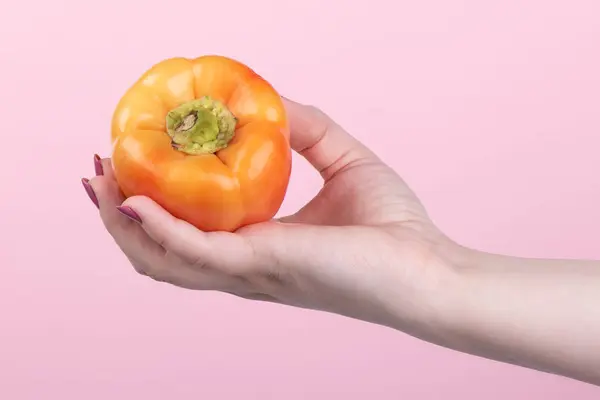 Orange süße Paprika in der Hand auf rosa Hintergrund. — Stockfoto