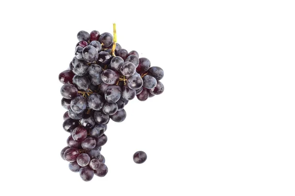 Ripe bunch of raisins grapes isolated on a white background. — Stock Photo, Image