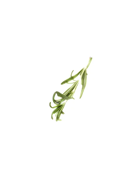 Twig of rosemary over a white background — Stock Photo, Image