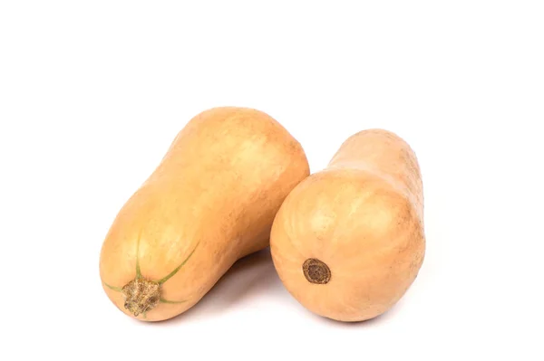 Two small ripe pumpkins isolated over a white background. — Stock Photo, Image