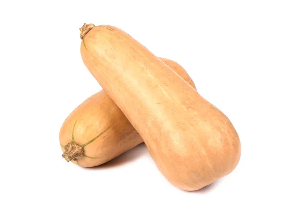 Dos pequeñas calabazas maduras aisladas sobre un fondo blanco. Bebé calabazas . —  Fotos de Stock