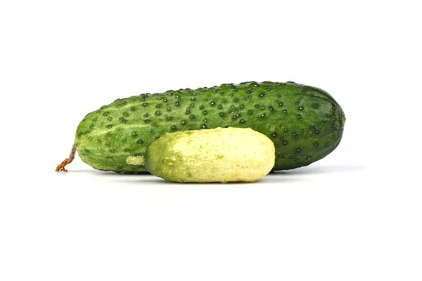 Ripe common cucumber and little isolated on a white background. — Stock Photo, Image