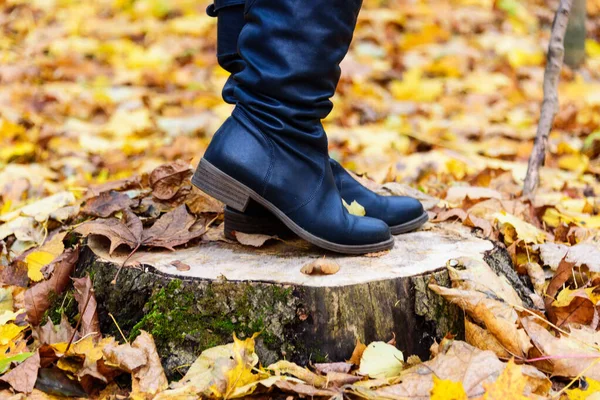 秋天落叶衬托下的时髦女子靴. — 图库照片
