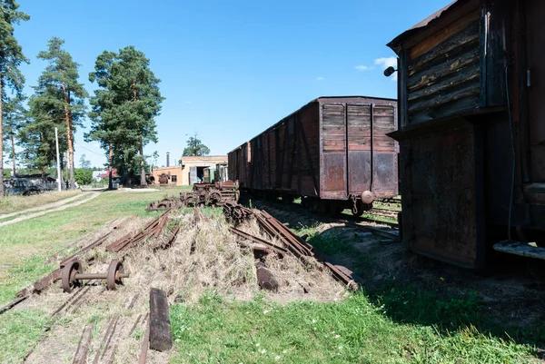 Région Yaroslavl Village Talitsy Russie Juillet 2015 Musée Ferroviaire Pereslavl — Photo